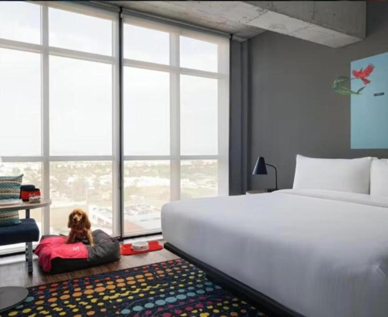 Aloft Guadalajara Sur Hotel Santa Anita  Bagian luar foto